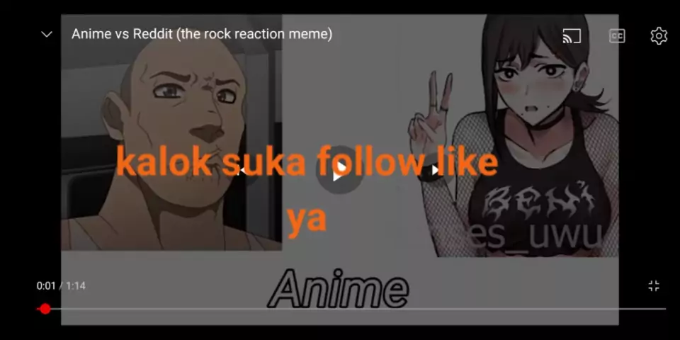 Anime vs Reddit (the Rock reaction meme)