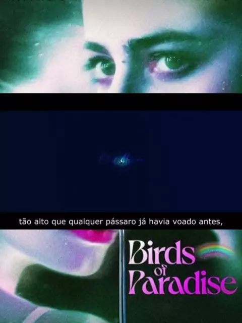 paradise birds valery | Discover
