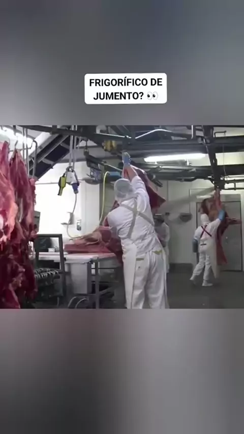 Abatedouro clandestino vendia carne de cavalo como sendo de boi em Viana