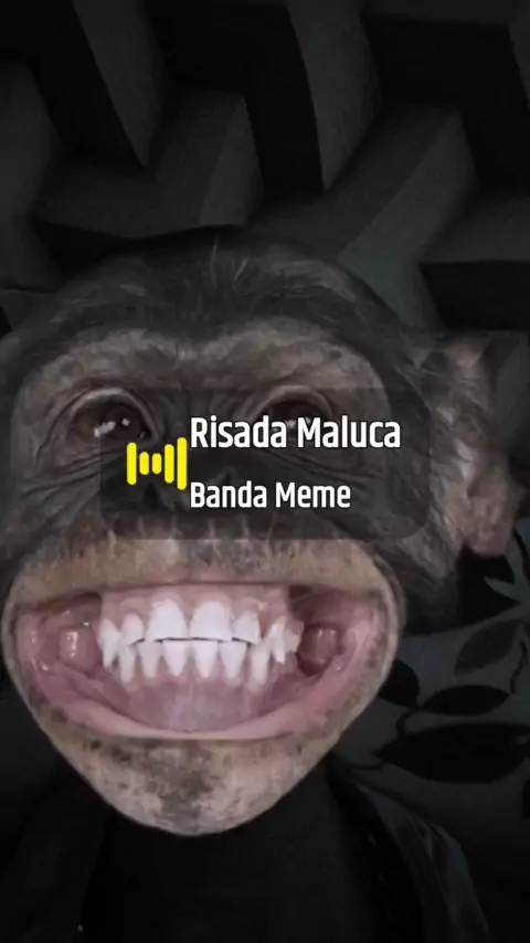 Risada Maluca - song and lyrics by Banda Meme