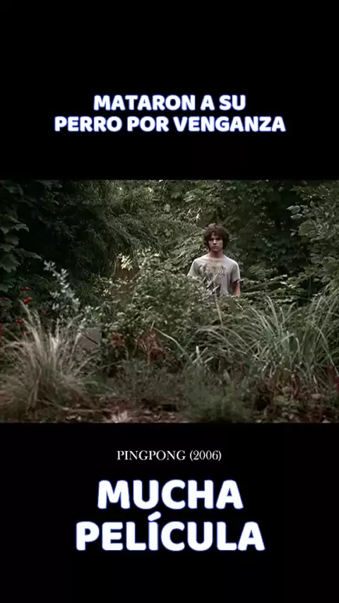 Pingpong (2006)