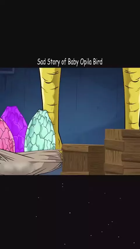 SAD LIFE OF OPILA BIRD 