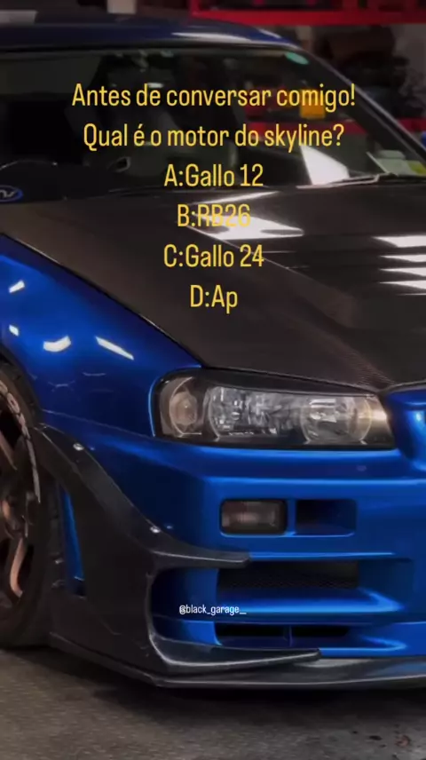 Gallo 24 top