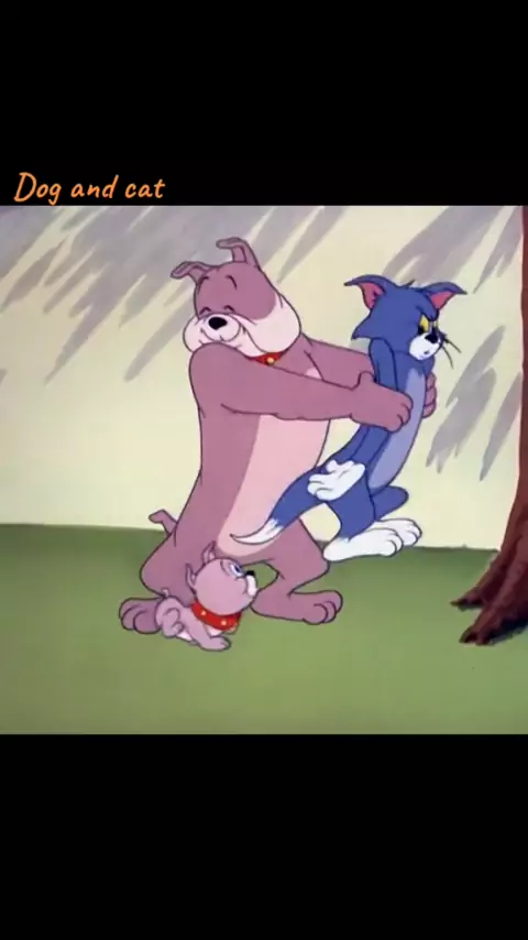 fart and scat & scat and fart| Discover
