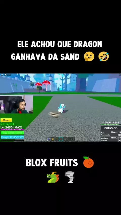 foto da dragon blox fruits