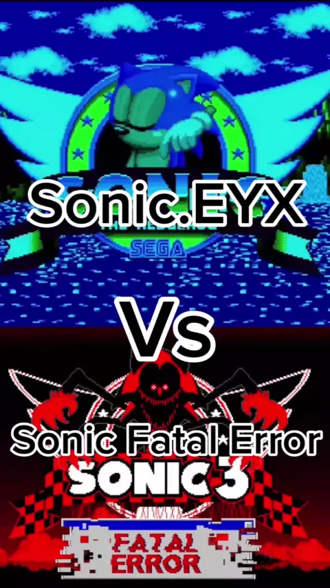 Sonic Fatal Error 