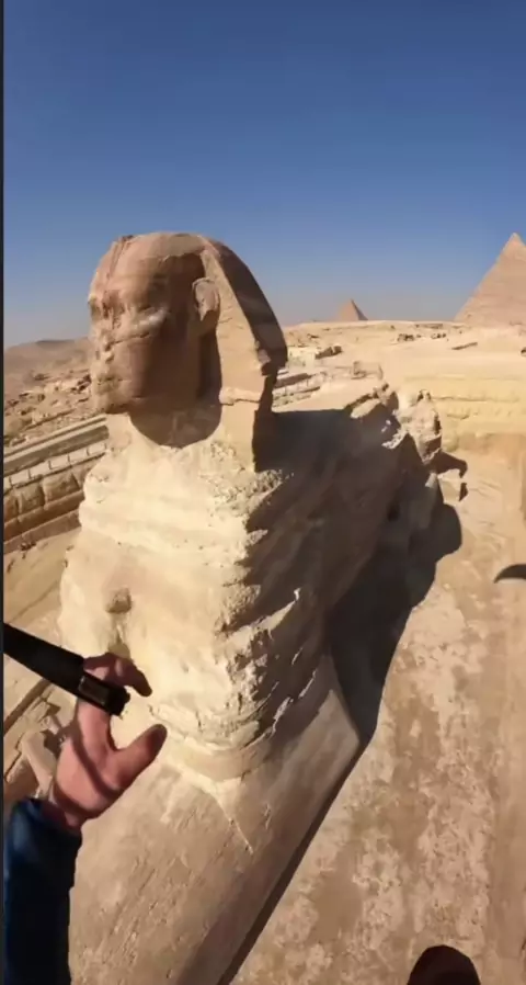 سنابات سوالب | Discover