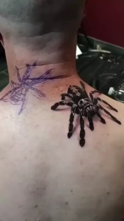 Qual é o significado da tatuagem da aranha no pescoço