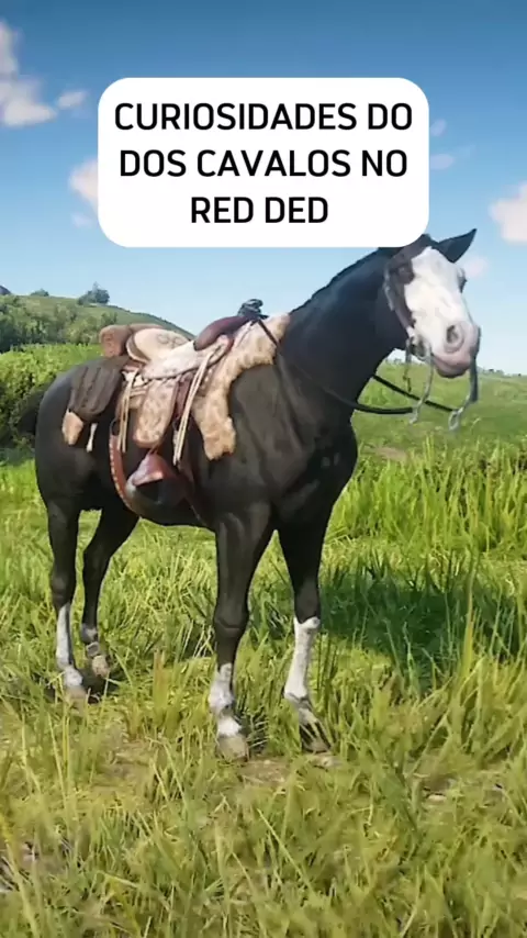 jogos de cavalo realista