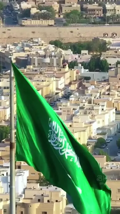 نيك سالب في البر تويتر