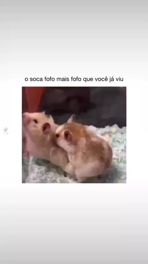 Vc e soca fofo?