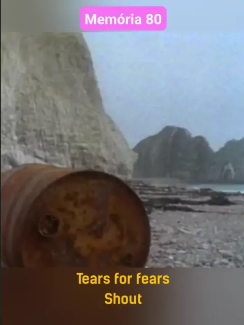 tears for fears shout (tradução)