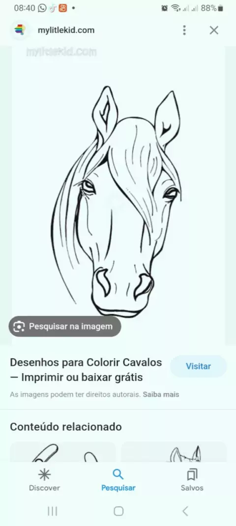 40 Desenhos de Cavalo para Imprimir e Colorir - Online Cursos