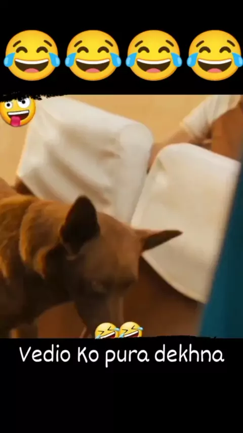 Video bocil vs tante