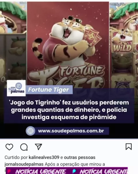 Fortune Tiger: 'Jogo do Tigrinho' fez usuários perderem grandes quantias de  dinheiro, e polícia investiga esquema de pirâmide, Maranhão