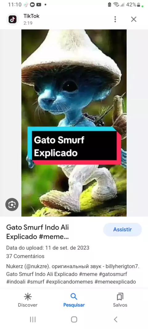 Música do indo ali (Meme do Gato Smurf) - Traduzido Português PT BR 