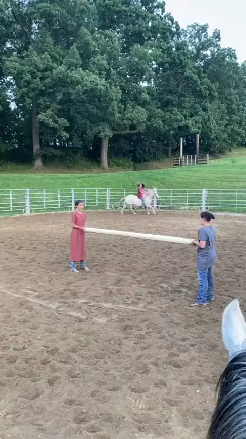 riding a shemale & shemale bareback riding| Discov ...| Kwai