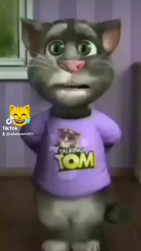 Hindi hot sale talking cat