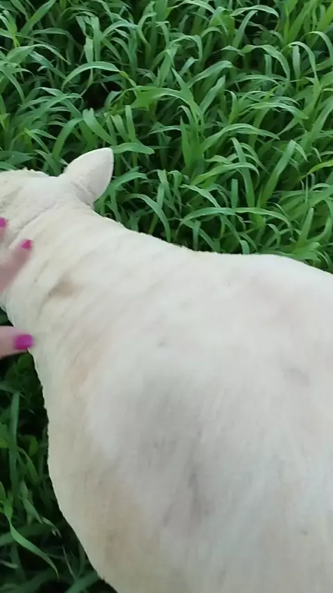 cornfarmersunion nuda