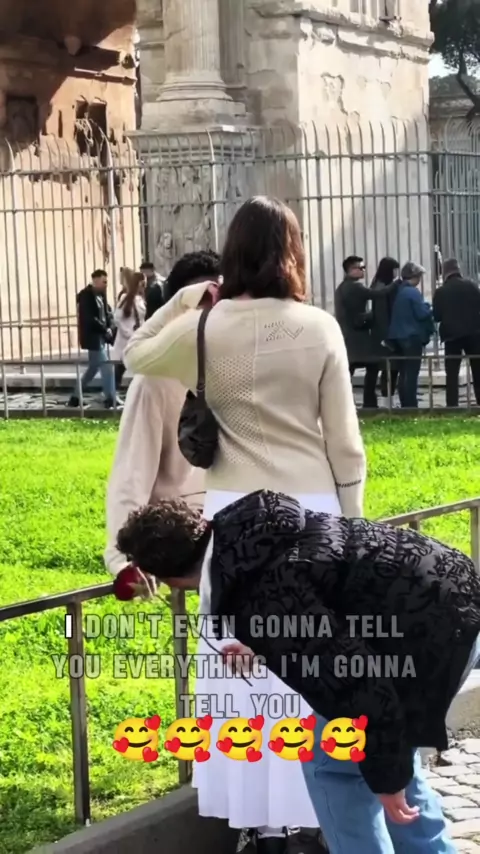 crystal rose knight pov