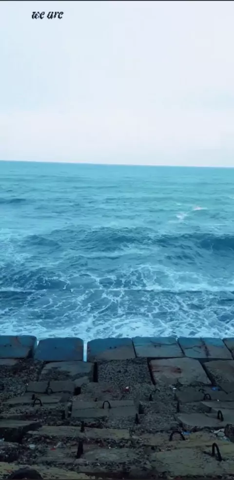 منى فاروق سكس جديد