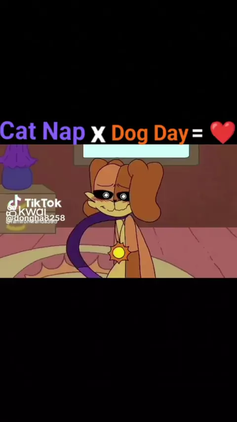 catnap x dogday