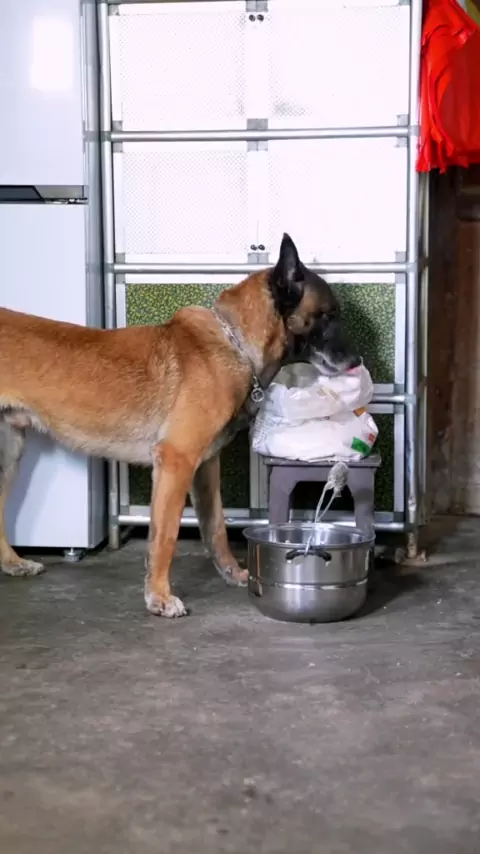 statewinks.pk & statewins pk| Discover