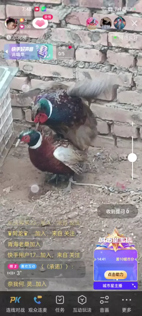 小表妹不能说的秘密~~~合集第三季