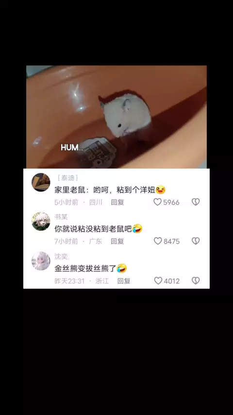 Kwai