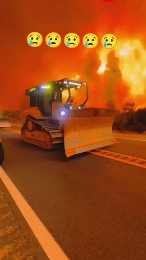 881 Like(s), 93 Comment(s). Kwai video from FAMOSINHOS(@FAMOSINHOS20): "BRASIL EM CHAMAS incêndios florestais por todo lado situação crítica #incendio #fogo #incendioflorestais #ASSUSTADOR #fenomenos"