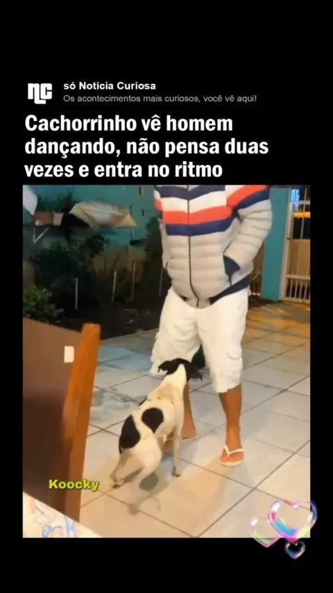 nina dancando | Discover