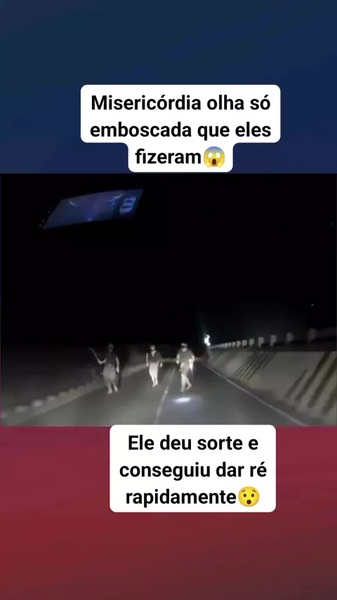 cu de bebado tem dono  | Discover